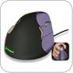 Evoluent VM4S VerticalMouse 4 Right Small Ergonomic Mouse