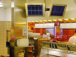 Neo-Flex Ceiling Mount