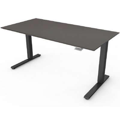 Float with black base color, removable, 2448 - 24" deep by 48" wide top, gray top finish, knife top edge
