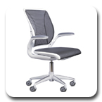 Humanscale Diffrient World Ergonomic Chair