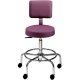 Office Master CL35 Classic Professional Lab and Healthcare Stool