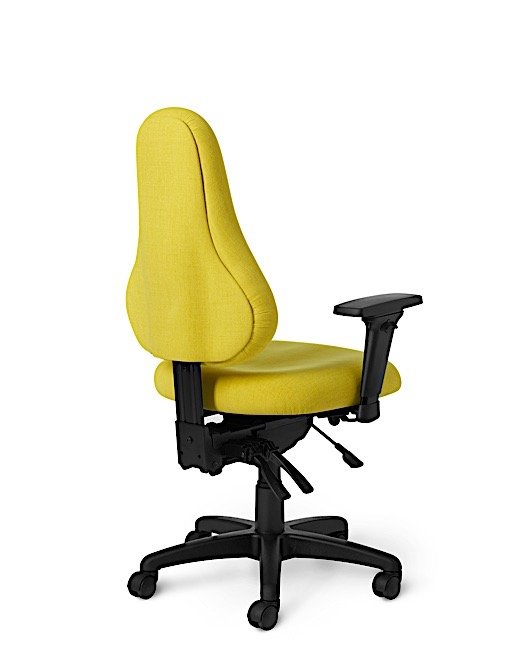 Back View - DB57 Office Master Discovery Back Ergonomic Office Chair