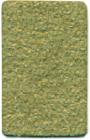 Grade 1 Cachet Moss