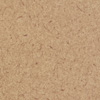 Coriander Fiber AT981