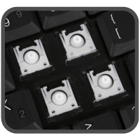 Slim, Quite and Fast Keys