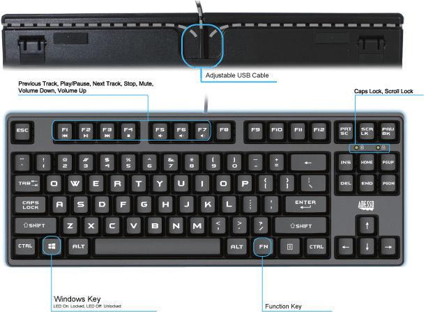 Featured image of post Easy Keyboard Drawing Images Here presented 51 keyboard drawing images for free to download print or share