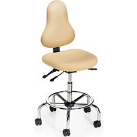 Office Master DB52 Discovery Back Healthcare Ergonomic Fixed Foot Ring Stool