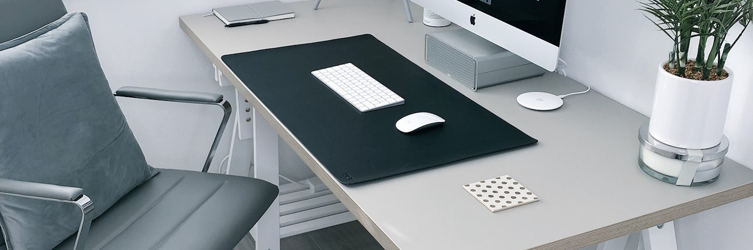 Professional Ergonomic Desk Setup