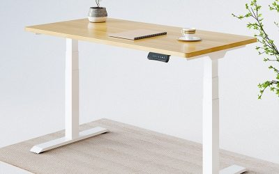 Electric Standing Desk E7