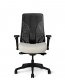 Truly EDC-628 PC Gaming Chair by OM-Seating - ErgoDirect