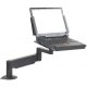 Secure Height Adjustable Laptop Arm - Wall or Desk Mount, ED-7F-77