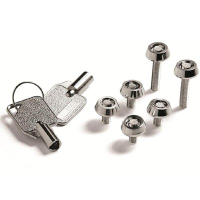 Anti theft new arrivals screws
