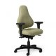 ErgoDirect LAM-DB78 High-back Multi-function Chair