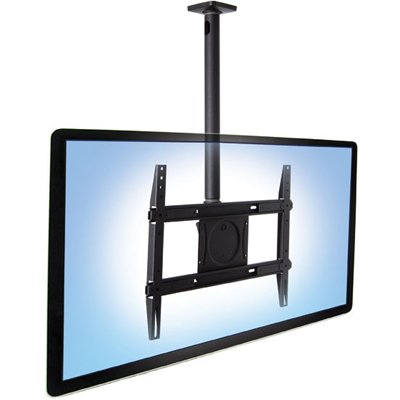 Ergotron 60-842-223 Neo-Flex Ceiling Mount