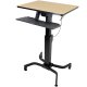Ergotron 24-280-928 WorkFit-PD, Sit-Stand Desk (birch)