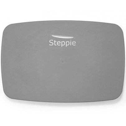 Steppie Balance Board