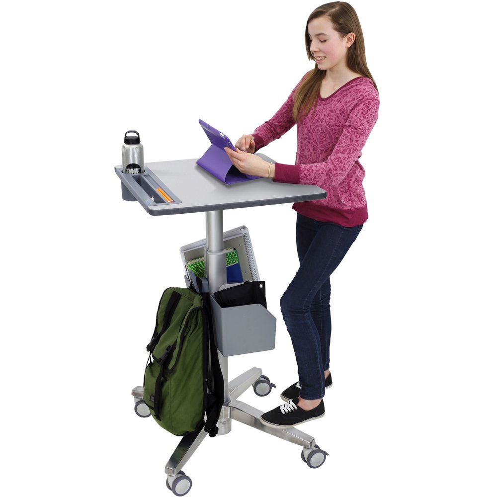 LearnFit 24 481 003 Sit Stand Student Desk