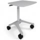 Ergotron ZAH25CG/CG4 Anthro Zido 25 Height Adjustable Cart, Heavy Load