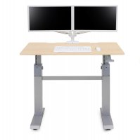 Ergotron 24-567-F13 WorkFit-DL 48, Sit-Stand Desk (Maple)