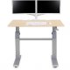 Ergotron 24-567-F13 WorkFit-DL 48, Sit-Stand Desk (Maple)