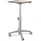 Ergotron 24-811-F13 Sit-Stand Mobile Desk