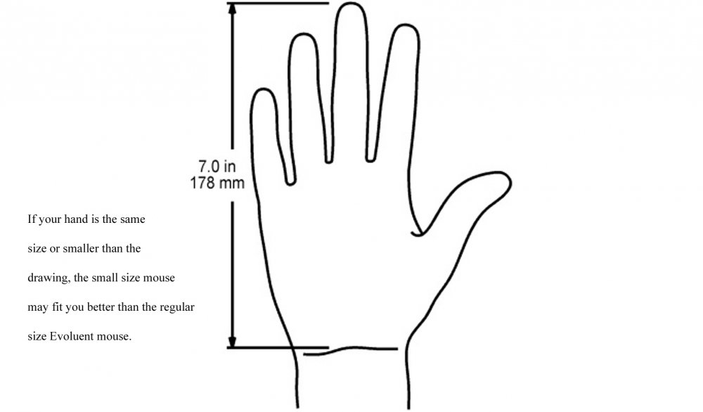 Hand Size Guideline for Evoluent Vertical Mouse