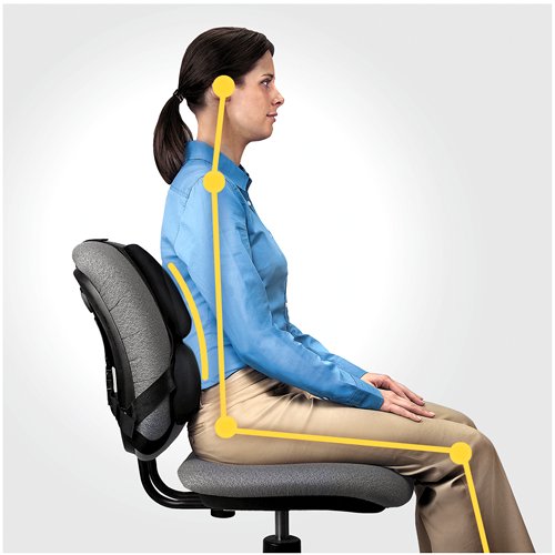Fellowes 8037601 Back Support with Microban Antimicrobial Protection