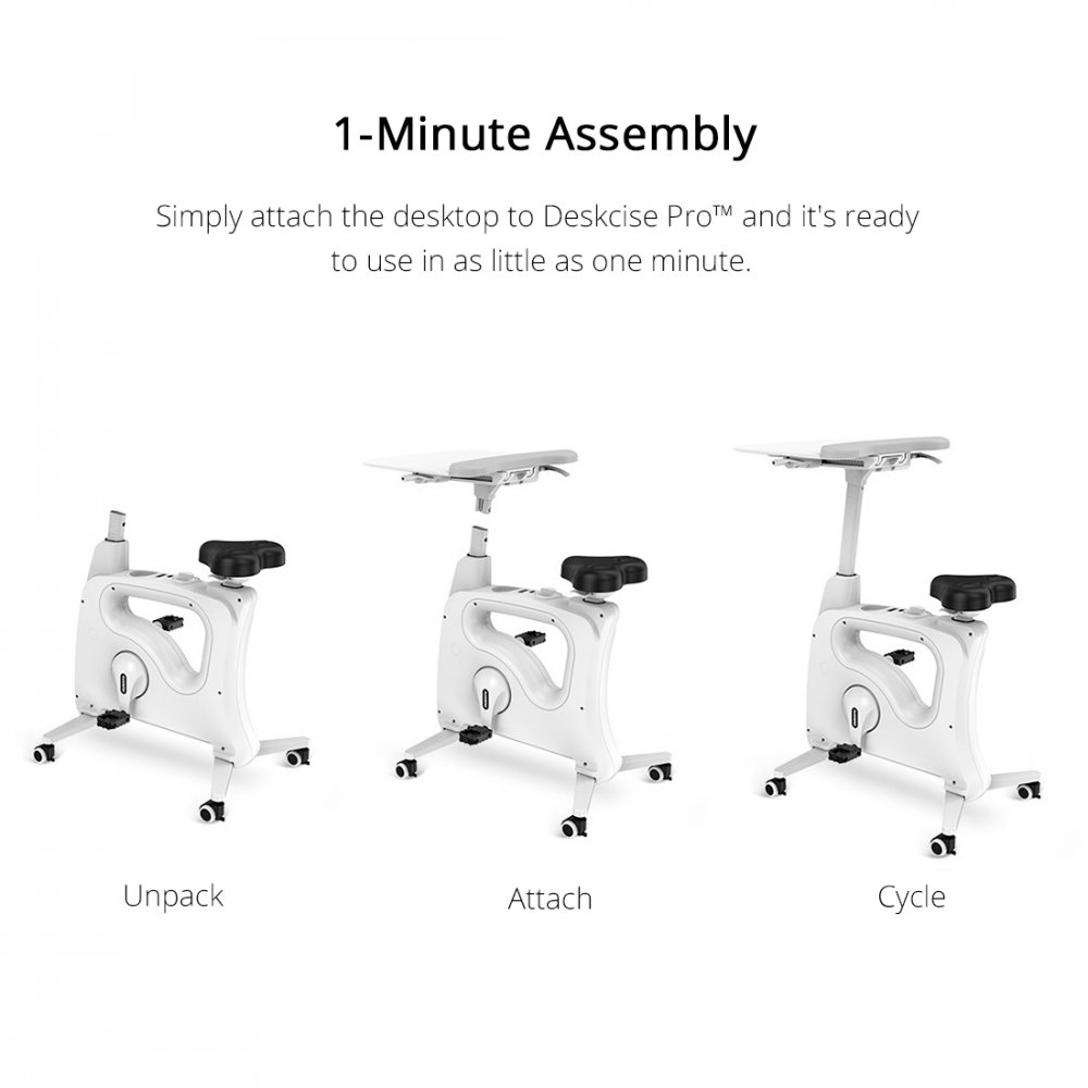 Flexispot Deskcise Pro V9 All-in-One Ergonomic Exercise Desk Bike