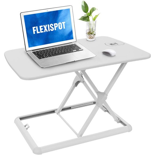 GoRiser Standing Desk Converter - Flexispot ML1W