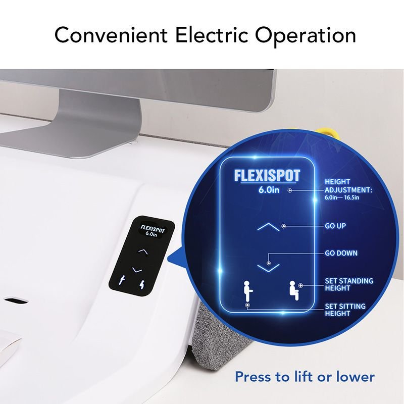 Flexispot EM6W Electric Stylish Sit-Stand Smart Workstation