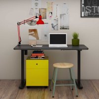 Flexispot EC1 Value Electric Height Adjustable Desk