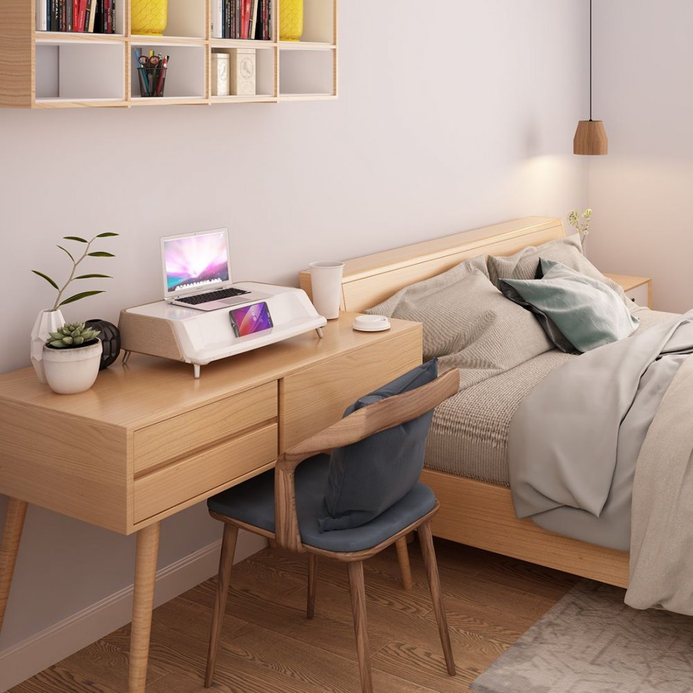 Flexispot S6 MonitorStand Workstation for home