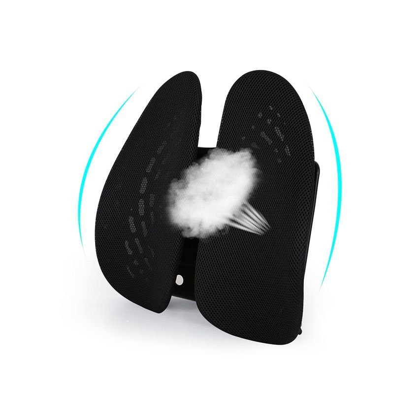 Flexispot LS1B Lumbar Support