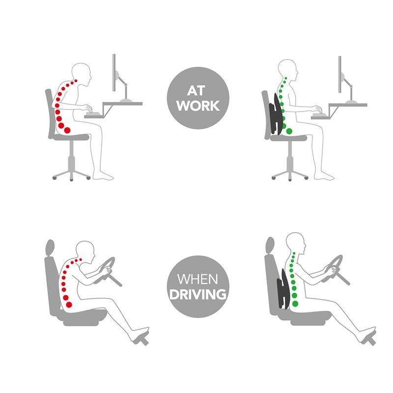 Flexispot LS1B Lumbar Support