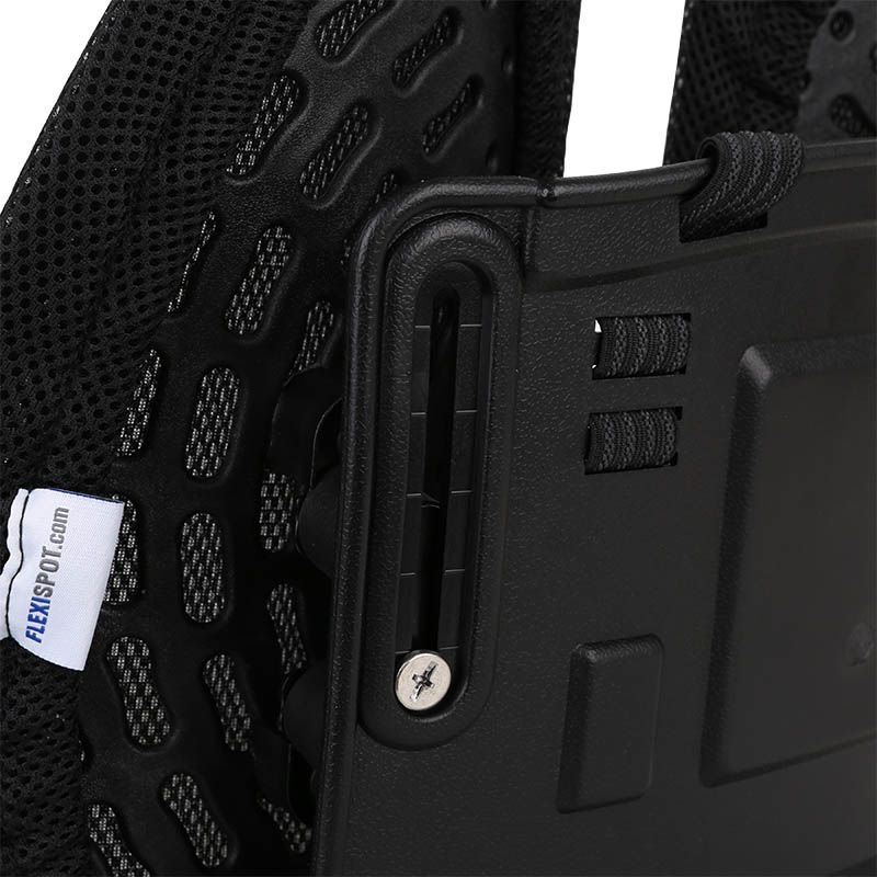 Flexispot LS1B Lumbar Support