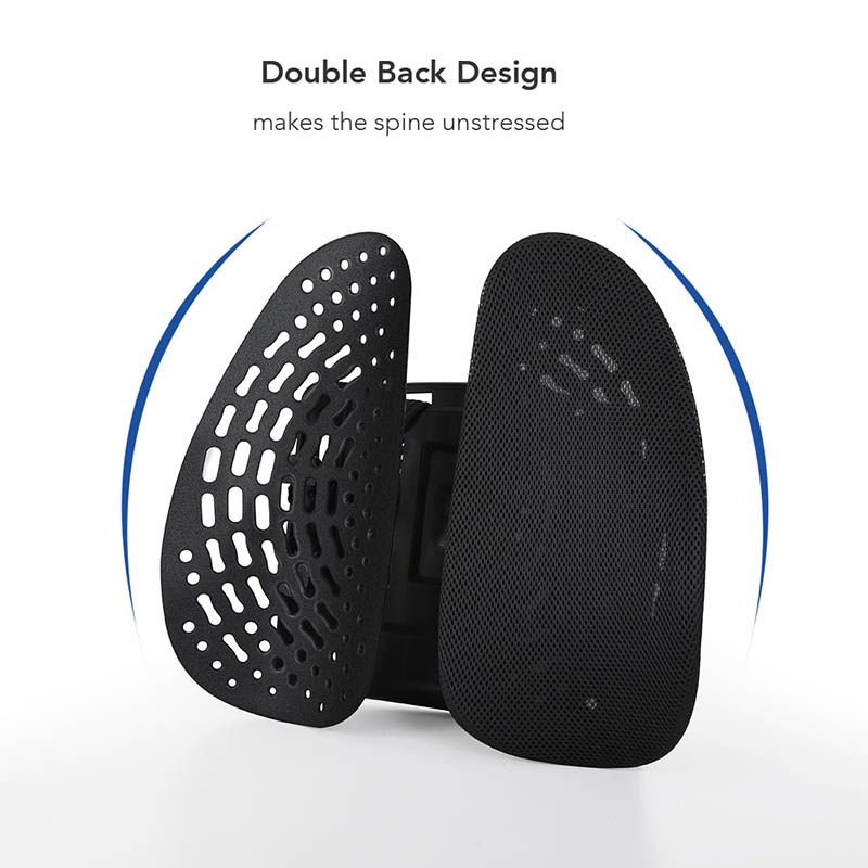 Flexispot LS1B Lumbar Support
