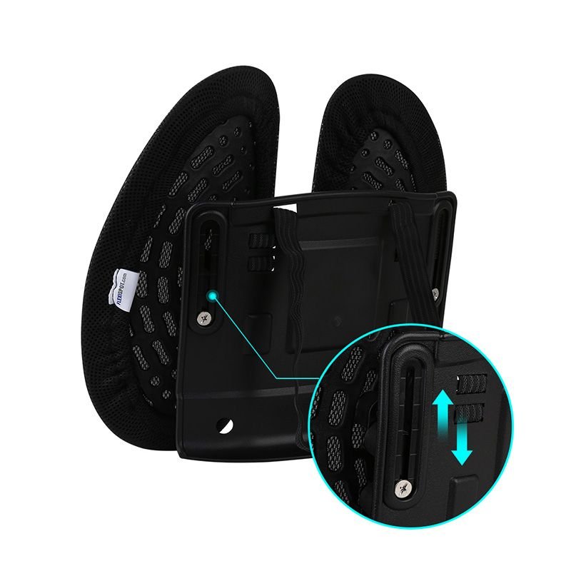 Flexispot LS1B Lumbar Support