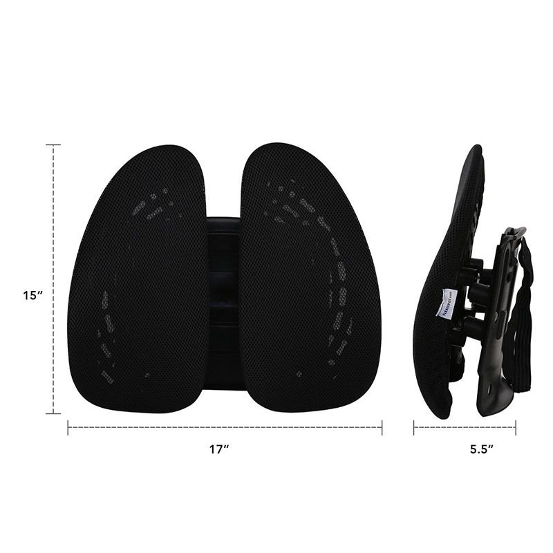 Flexispot LS1B Lumbar Support
