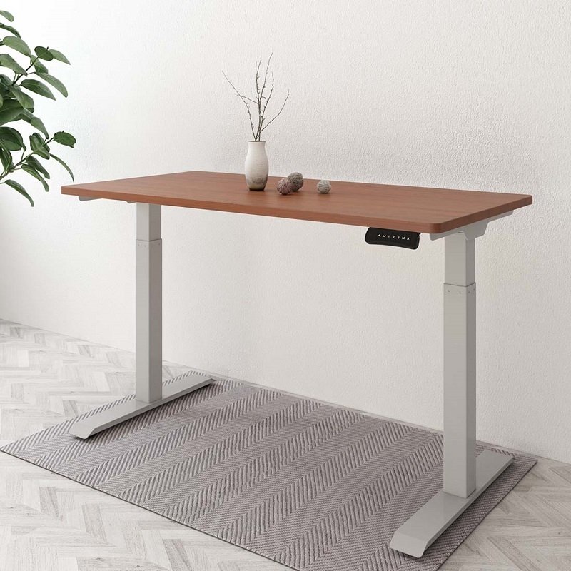 Flexispot EC4 Dual Motor Electric Height Adjustable Standing Desk
