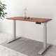 Flexispot EC4 Dual Motor Electric Height Adjustable Standing Desk
