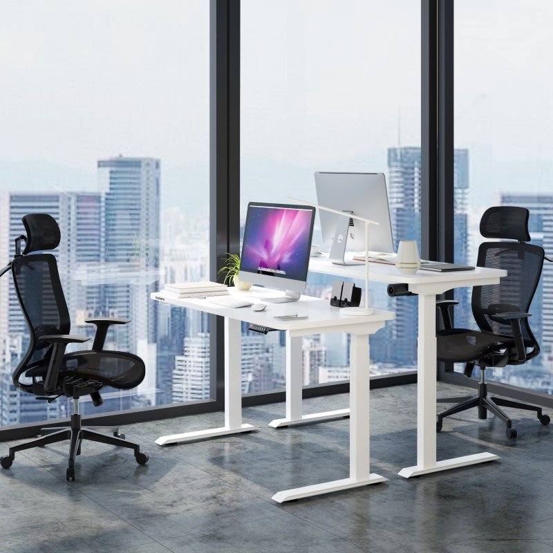 Flexispot EC9 Vici Quick Install Electric Height Adjustable Standing Desk