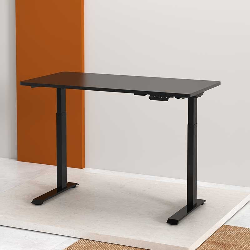 Flexispot EC9 Vici Quick Install Electric Height Adjustable Standing Desk