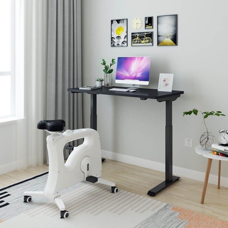 Flexispot EC9 Vici Quick Install Electric Height Adjustable Standing Desk