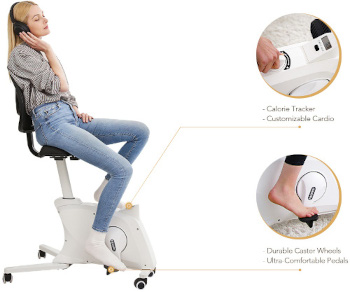 Flexispot FC211 F1 Sit2Go 2-in-1 Fitness Chair