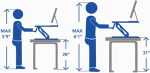 Fits most people's height