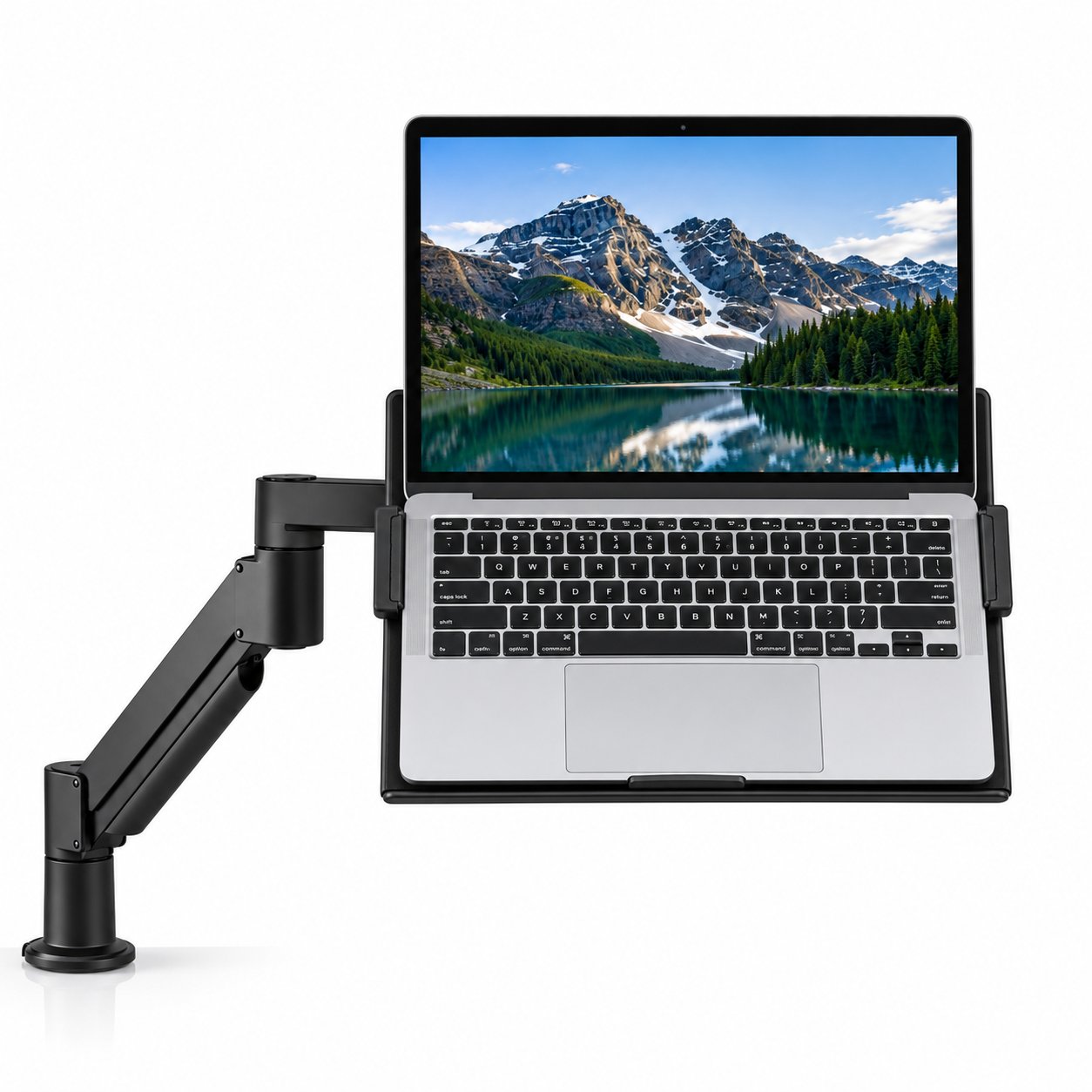 Ergodirect 7Flex Height Adjustable Arm with LT-HLDR Laptop Holder