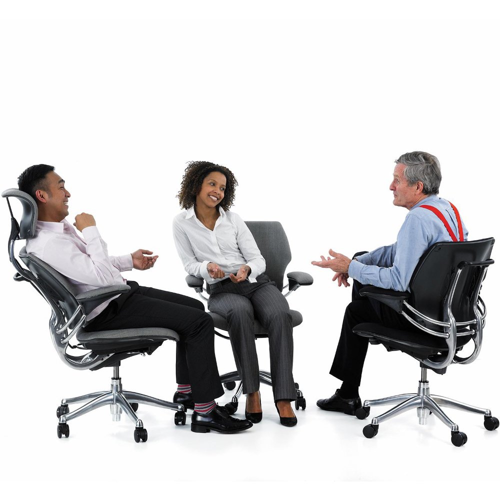 Freedom Headrests, Gray, Black, Meeting room