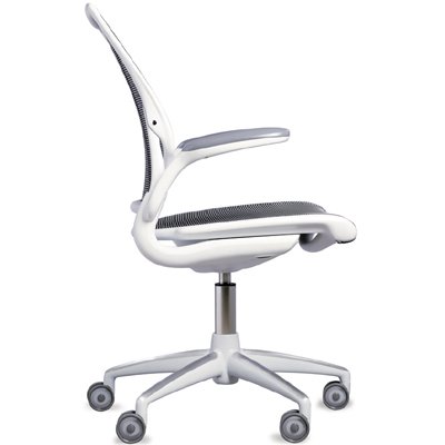 Humanscale Diffrient World Ergonomic Task Office Chair