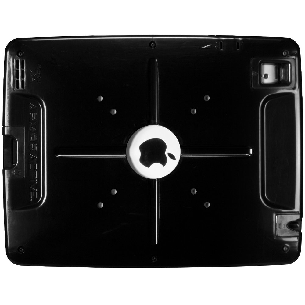 Back view