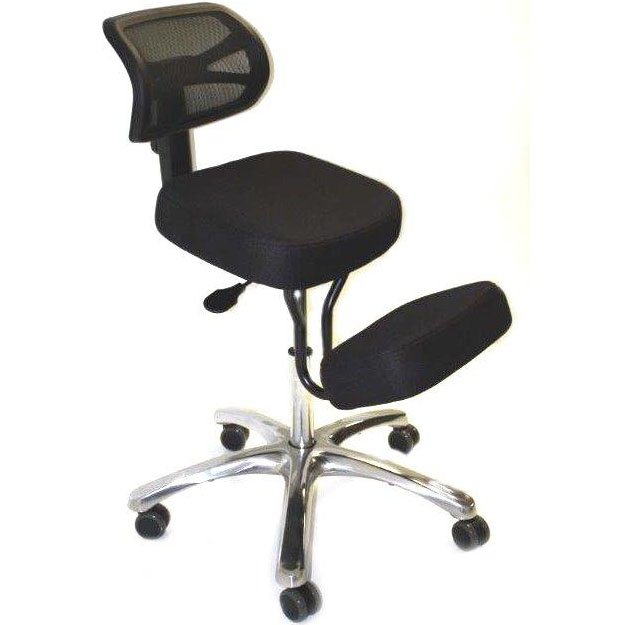 BP1448MESH - BetterPosture Mesh Backrest (buy separately)